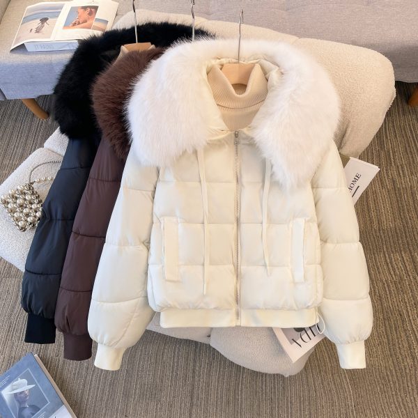 Bellamy Warm Parka Jacket with Fur Discount