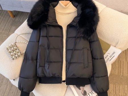 Bellamy Warm Parka Jacket with Fur Discount